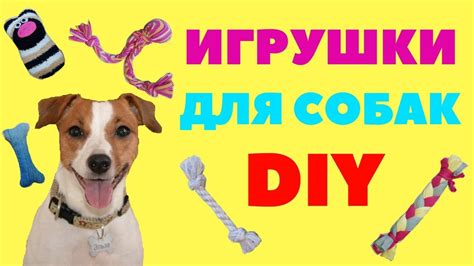 ИГРУШКИ ДЛЯ СОБАК СВОИМИ РУКАМИ | ТЕСТ ДРАЙВ ИГРУШЕК НА ДЖЕК РАССЕЛ ...
