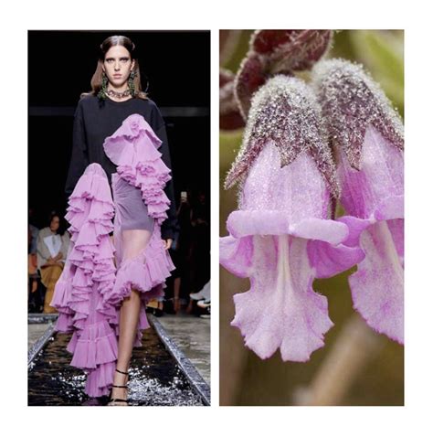 Nature in Fashion — Mabel the Fashion Muse | Fashion illustration ...