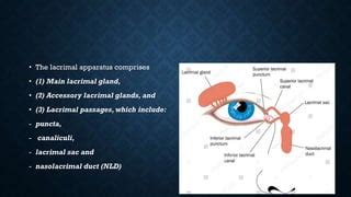 Image result for Software Module Chart