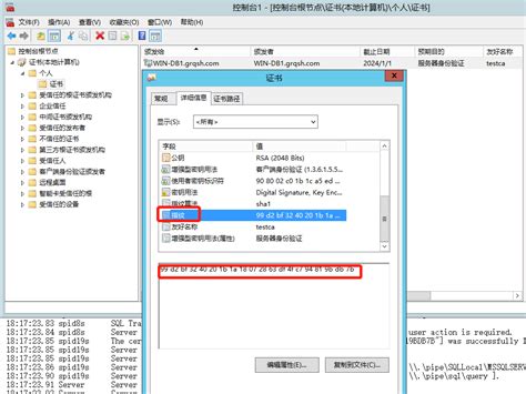 SQL Encrypt Strict 的图像结果