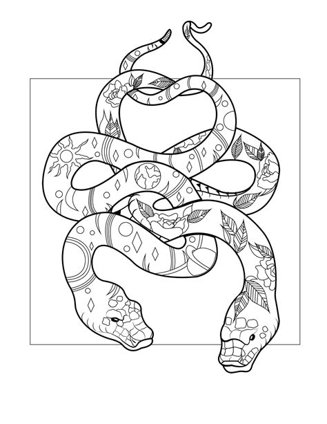 Snake Coloring Pages – Printable Coloring Pages. FREE