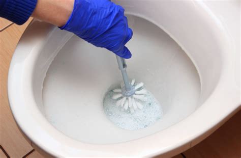 Effective Methods to Clean Your Toilet Rim | Harpic | Harpic