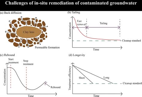 Image result for Back Diffusion