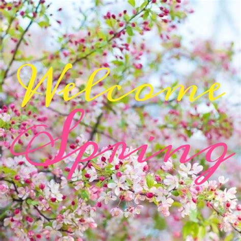 This Spring 的图像结果