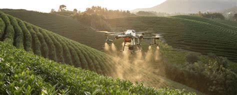 High Resolution Agriculture 的图像结果