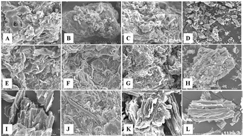 Fast Removal of Polybrominated Diphenyl Ethers from Aqueous Solutions ...