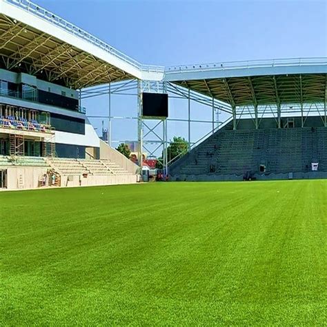 Carpet planet – High Density Artificial Grass 25MM (6.5 Feet width ...