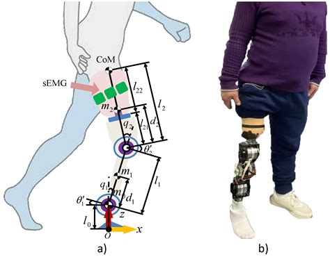 Concurrent Adaptive Control for a Robotic Leg Prosthesis via a ...