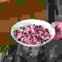 Image result for Command File