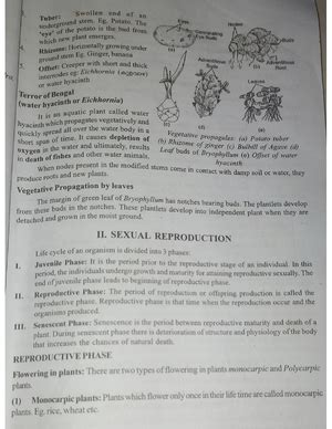 2 sexual reproduction in flowering plants - entrance questions n ...