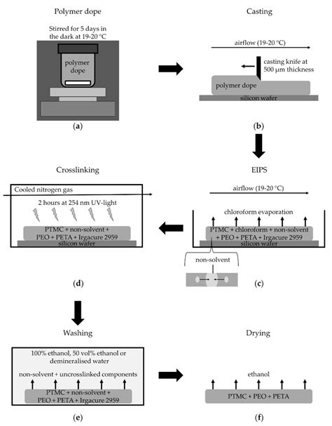 Development of Porous and Flexible PTMC Membranes for In Vitro Organ ...