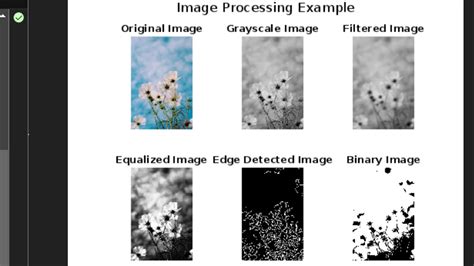 Image result for MATLAB Image Processing Tutorial
