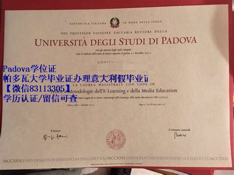帕多瓦大学毕业证办理意大利假毕业证 - 蓝玫留学机构