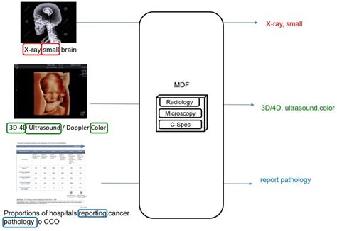 Enhancing Medical Image Retrieval with UMLS-Integrated CNN-Based Text ...