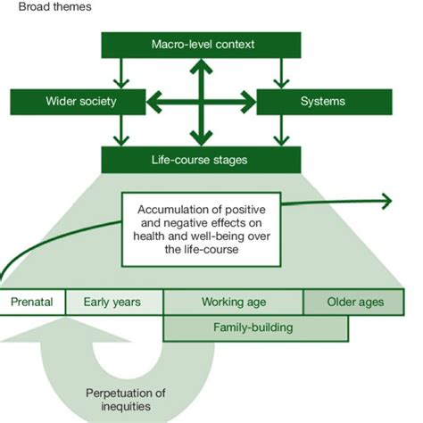 Image result for Life Course Approach
