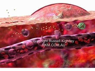 Image result for Complement Kinin Systems