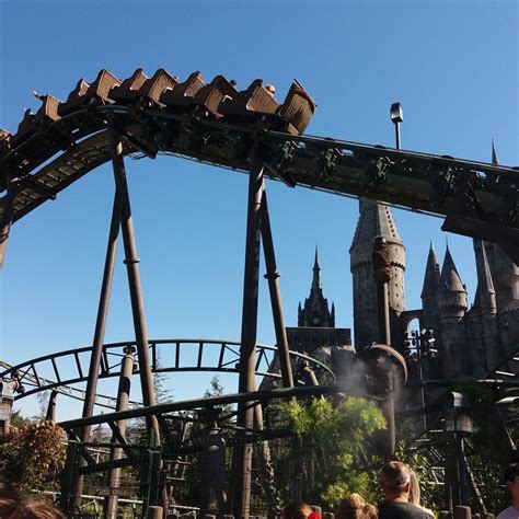 FLIGHT OF THE HIPPOGRIFF (2026) All You Need to Know BEFORE You Go ...