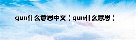 gun什么意思中文（gun什么意思）_华夏文化传播网