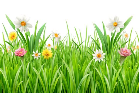 Cartoon Green Grass Flowers Download, Grass, Flowers, Spring Decoration ...