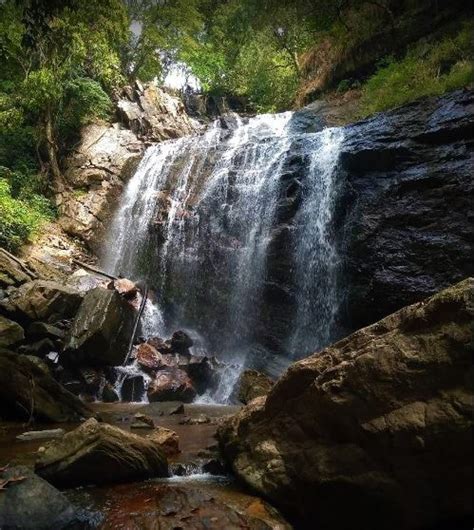 Hill Range, Chikmagalur - Homestay Advisor