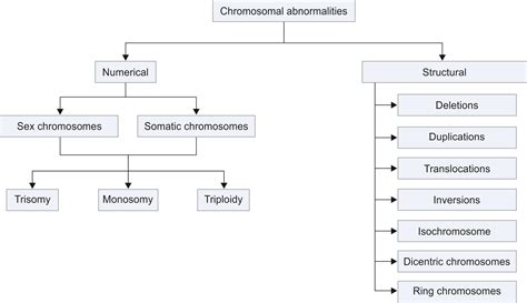 Abnormal Chromosome 的图像结果