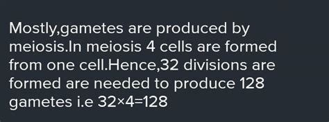 how many divisions are required to produce 128 gametes? - Brainly.in