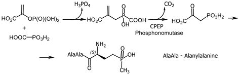 Phosphorus Compounds of Natural Origin: Prebiotic, Stereochemistry ...