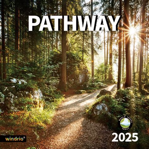 Buy 2025 Wall , 2025, November 2024 - December 2025, Wall Pathways, 12 ...