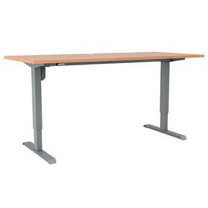 Electric Height Adjustable Desk - Rife Technologies