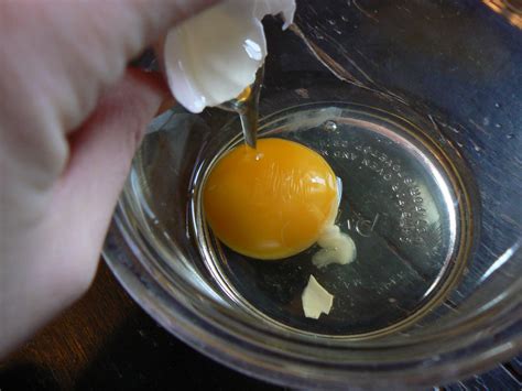 Image result for Cooking Egg Shells