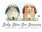 Image result for Baby Teacup Bunnies