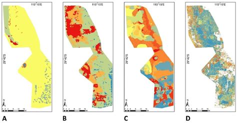 Image result for Vegetative Area. Examples