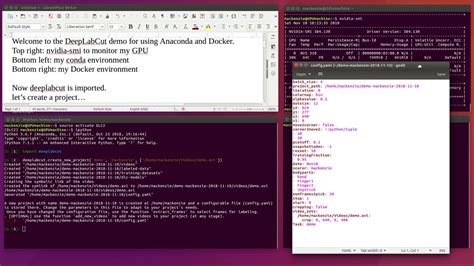 Image result for Deeplabcut Tutorial