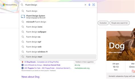 Bing Fluent Design Logo 的图像结果