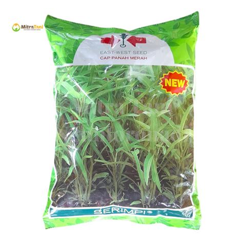 Jual Benih Kangkung Daun Sempit Serimpi Cap Panah Merah 1Kg - Kab ...
