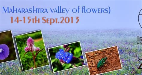 Trek-O-phy: Photography Tour to Kass Plateau & Sajjangad Fort on 14-15 ...