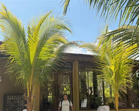 SILVER SAND VILLAGE RESORT (Havelock Island, Andaman and Nicobar ...