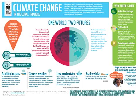 INFOGRAPHIC: Climate change in the Coral Triangle | WWF