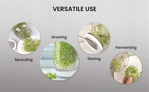 Buy Supvox® Seed Sprouting Jar Kit - Sprout Maker Growing Kit - 32OZ ...