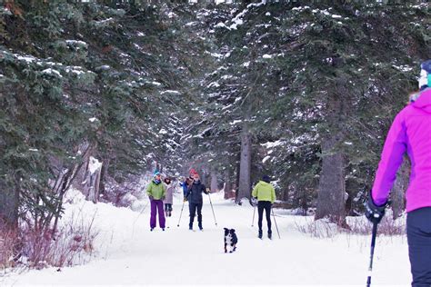 15 HONEST Pros & Cons of Living in Wyoming