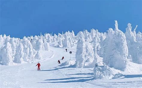 [Tohoku Winter Hot Spring Two-Day Tour] Miyagi & Yamagata | Ginzan ...