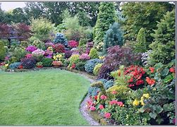 Image result for Sunny Flower Garden