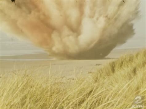 Image result for Whale Carcass Exploding