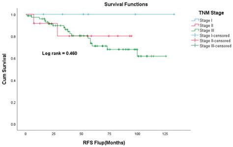 Small Bowel Neuroendocrine Tumors—10-Year Experience of the Ottawa ...