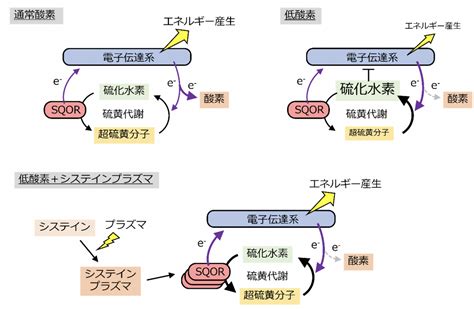 Image result for Source and Destination IP Packet Example