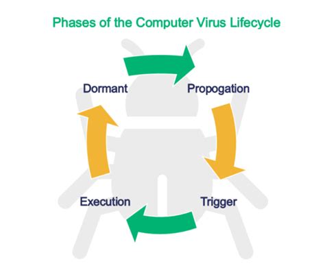 Evolution of Computer Viruses 的图像结果