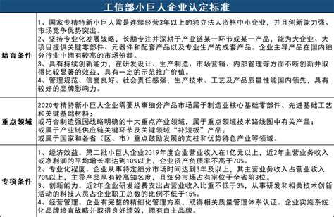 专精特新小巨人企业的专项条件 申报专精特新小巨人企业有什么意义 - 知乎