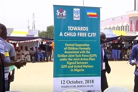 Anti-Boko Haram militia frees 900 children in Nigeria: UN