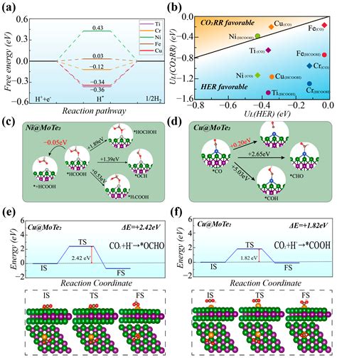 Theoretical Study of Ni- and Cu-Doped Molybdenum Ditelluride ...