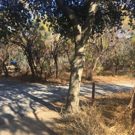 Oak Grove Campground Camping | The Dyrt